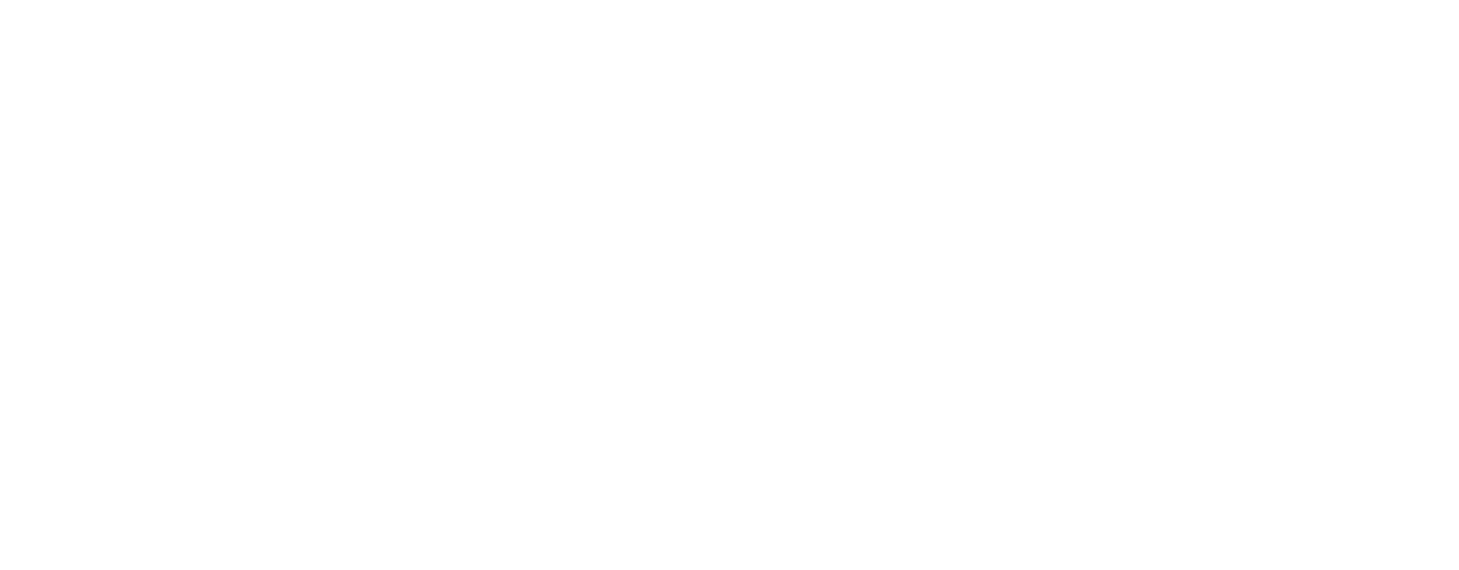 The Image Experience, por Virgilio de Mier