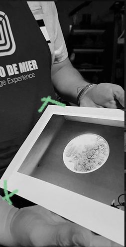 Manos sosteniendo una fotografía impresa y enmarcada